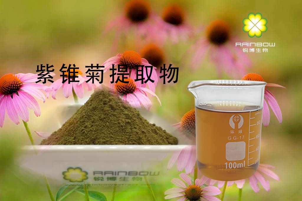 紫錐菊提取物 紫錐菊提取物