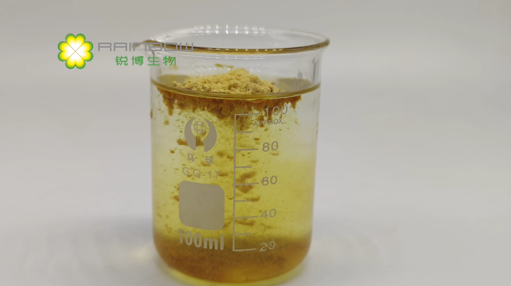 紫錐菊提取物 紫錐菊提取物