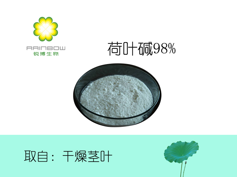 荷葉堿98% 荷葉堿98%