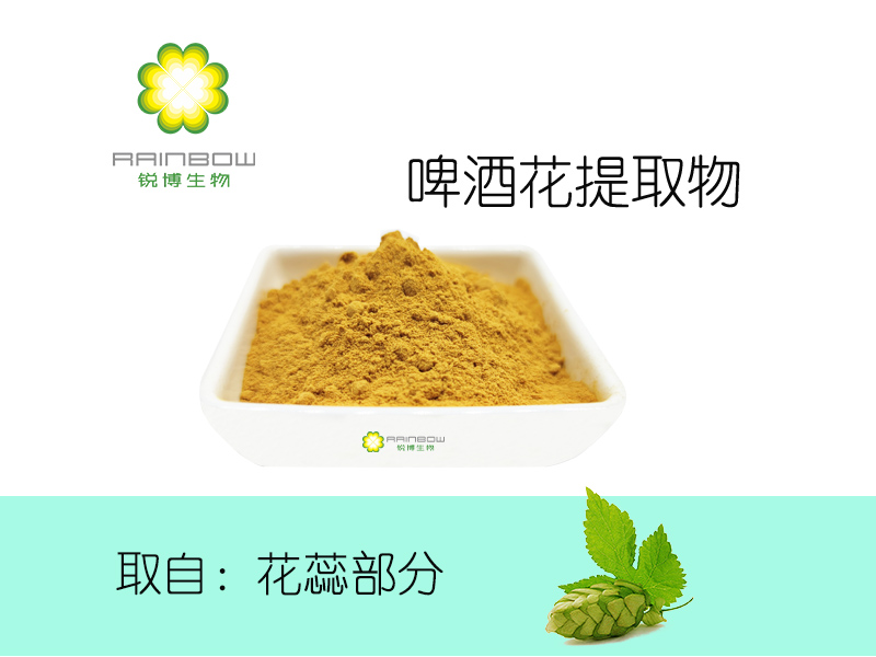 啤酒花提取物 啤酒花提取物