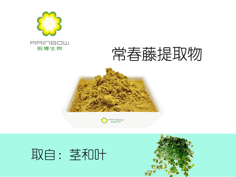 常春藤提取物 常春藤提取物