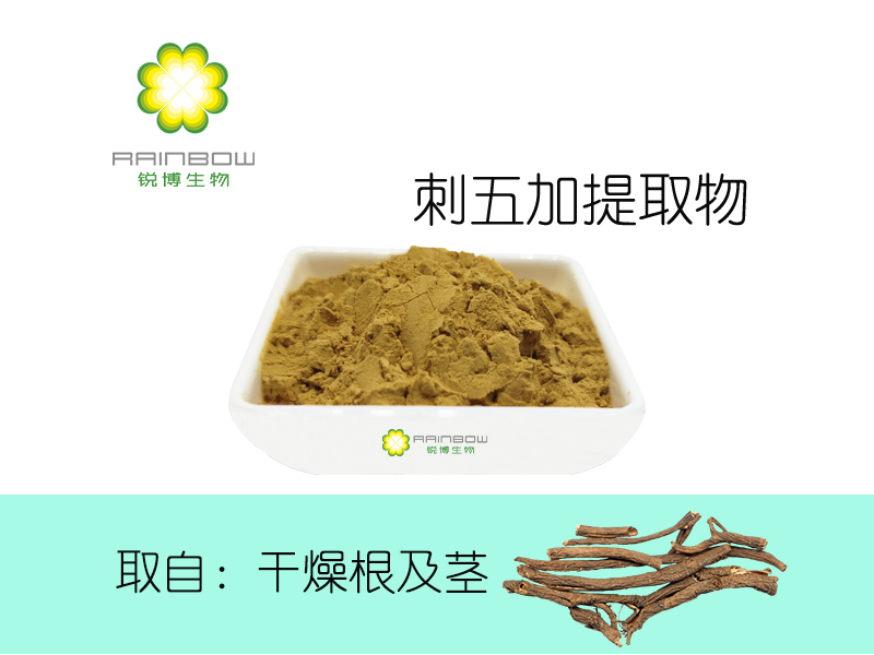 刺五加提取物 刺五加提取物