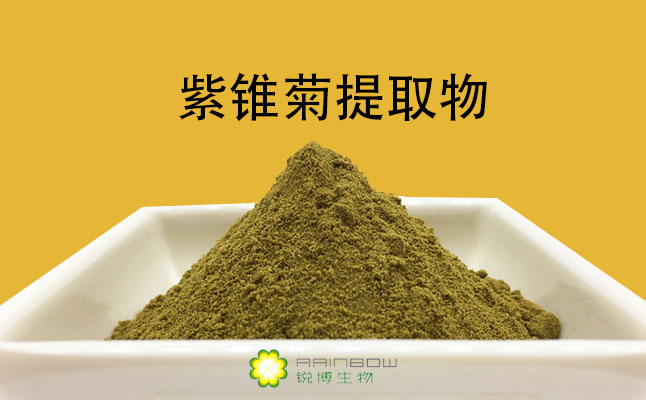 紫錐菊提取物 紫錐菊提取物