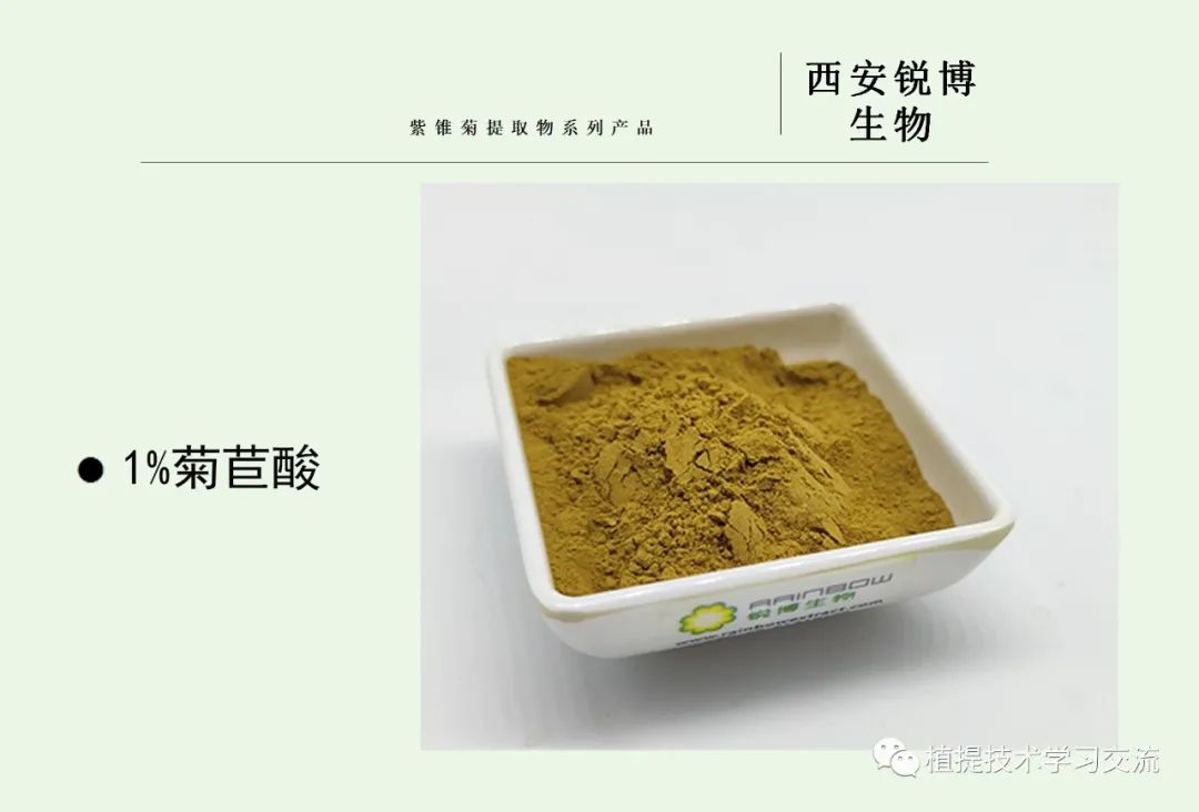 紫錐菊提取物 紫錐菊提取物