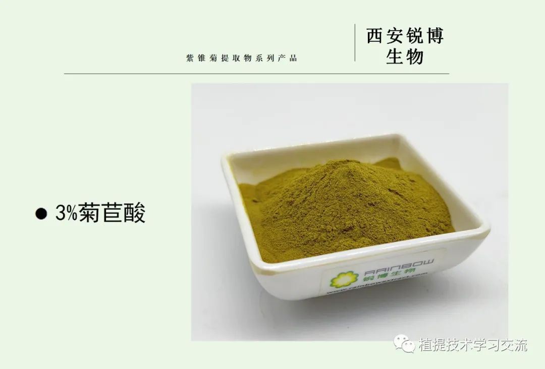 紫錐菊提取物 紫錐菊提取物