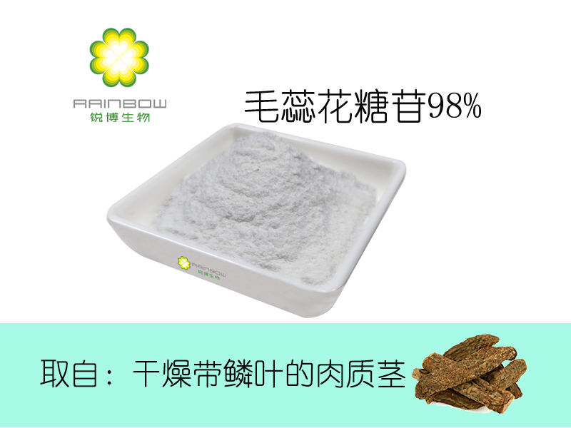 毛蕊花糖苷98% 毛蕊花糖苷98%