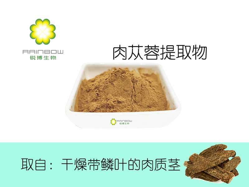 肉蓯蓉提取物 肉蓯蓉提取物