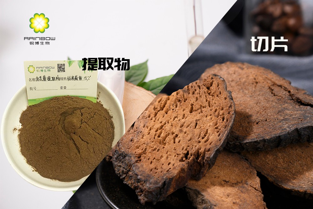 肉蓯蓉提取物 肉蓯蓉提取物
