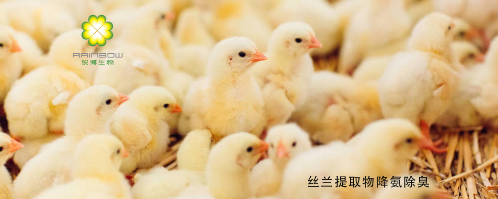 絲蘭提取物 絲蘭提取物