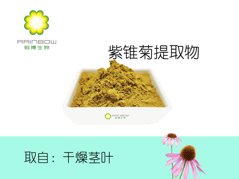 紫錐菊提取物 紫錐菊提取物