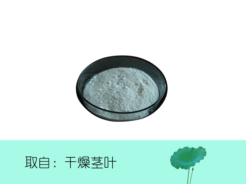 荷葉堿98%