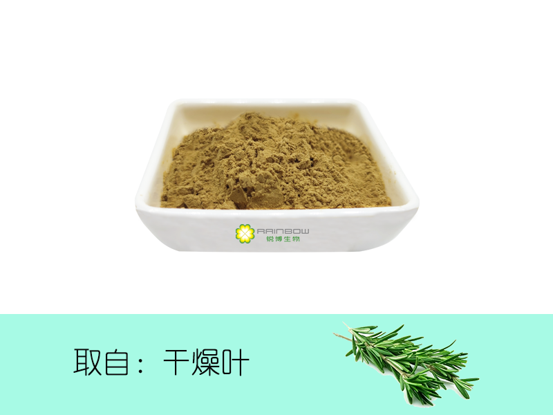 迷迭香提取物