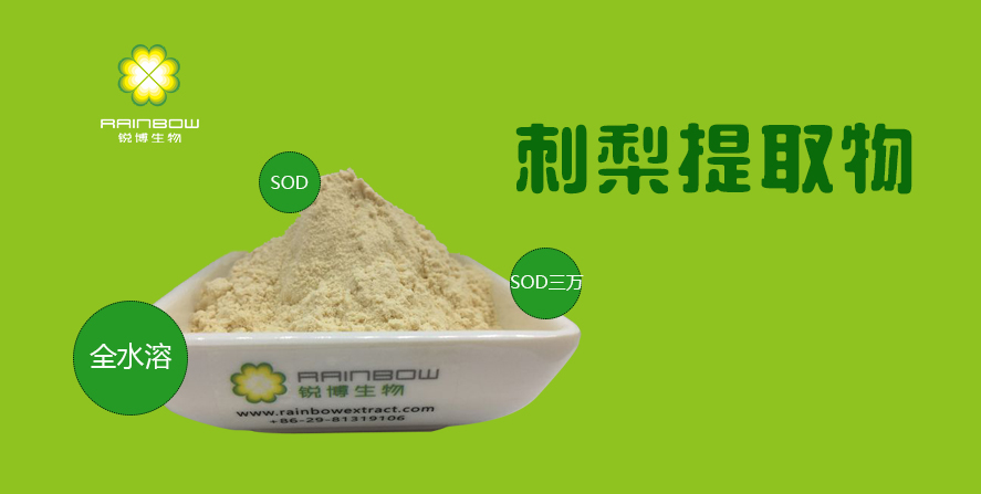 刺梨提取物 刺梨提取物