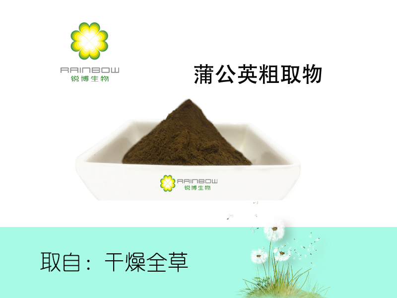 蒲公英提取物 蒲公英提取物