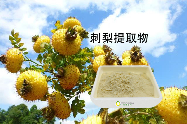 刺梨提取物