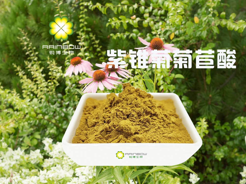 紫錐菊菊苣酸 紫錐菊菊苣酸