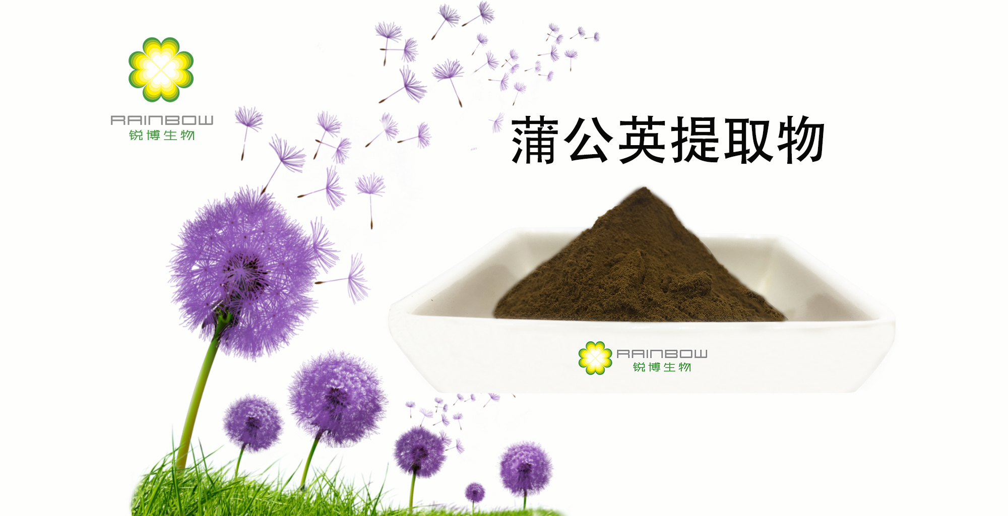 蒲公英提取物