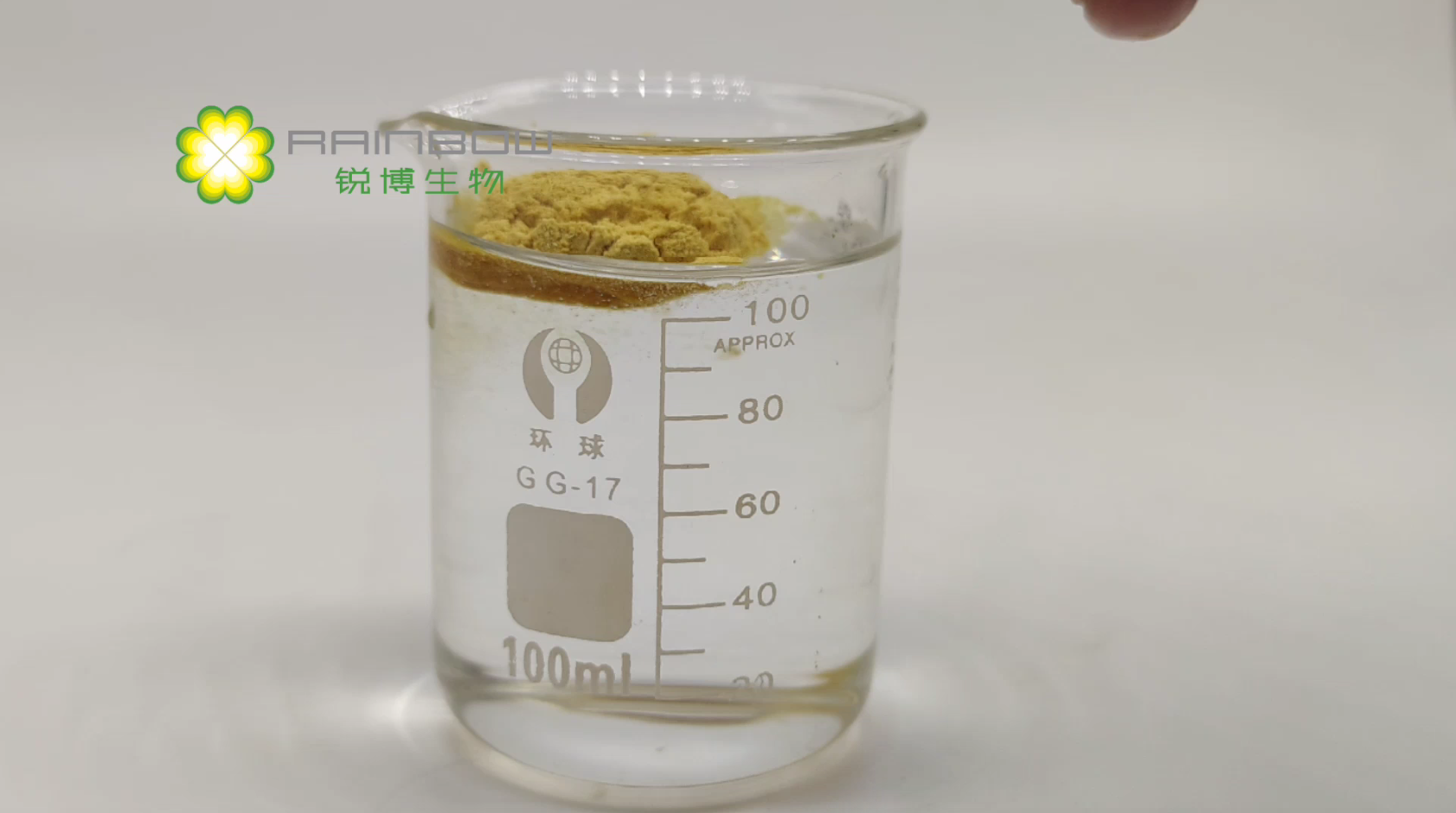 紫錐菊提取物 紫錐菊提取物