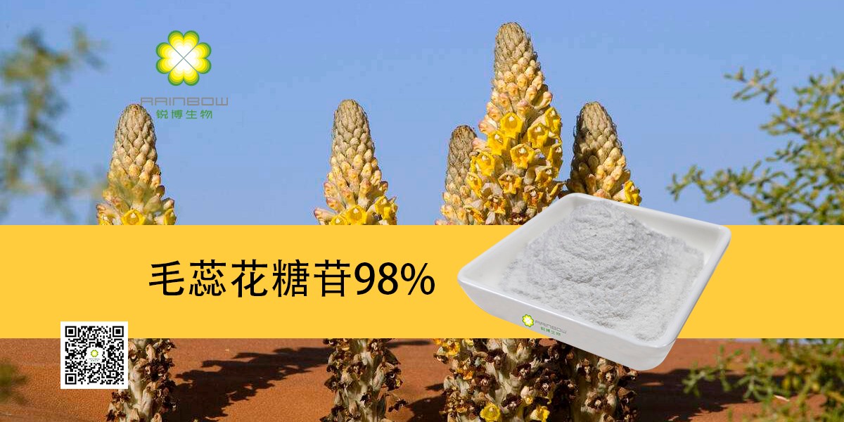 肉蓯蓉提取物 肉蓯蓉提取物