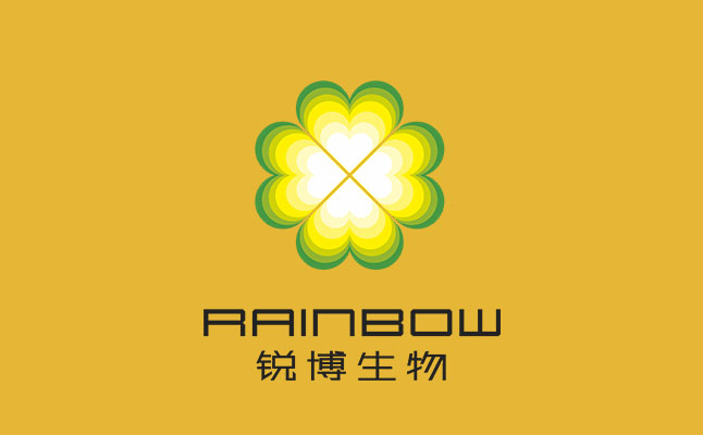 紫錐菊提取物 紫錐菊提取物