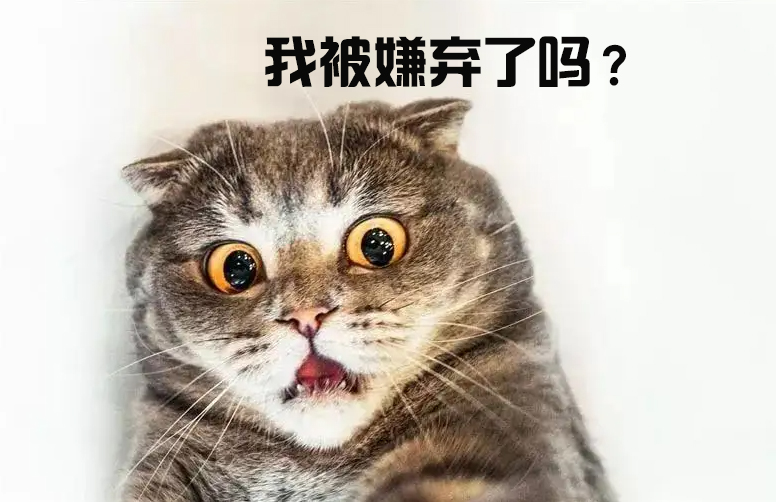 西安銳博生物 西安銳博生物