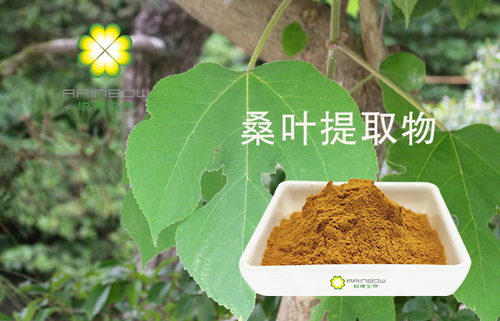 桑葉提取物
