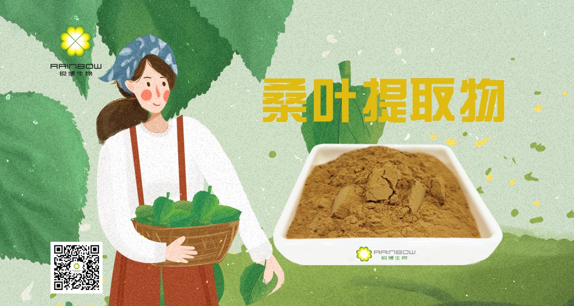 桑葉提取物 桑葉提取物