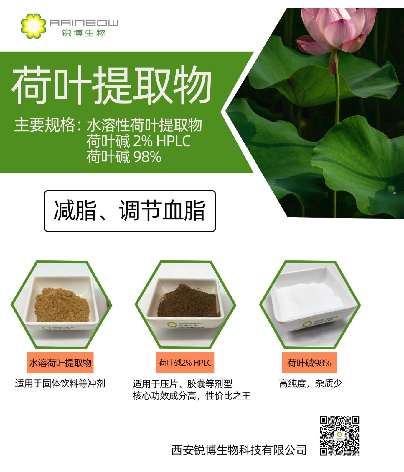 荷葉提取物 荷葉提取物
