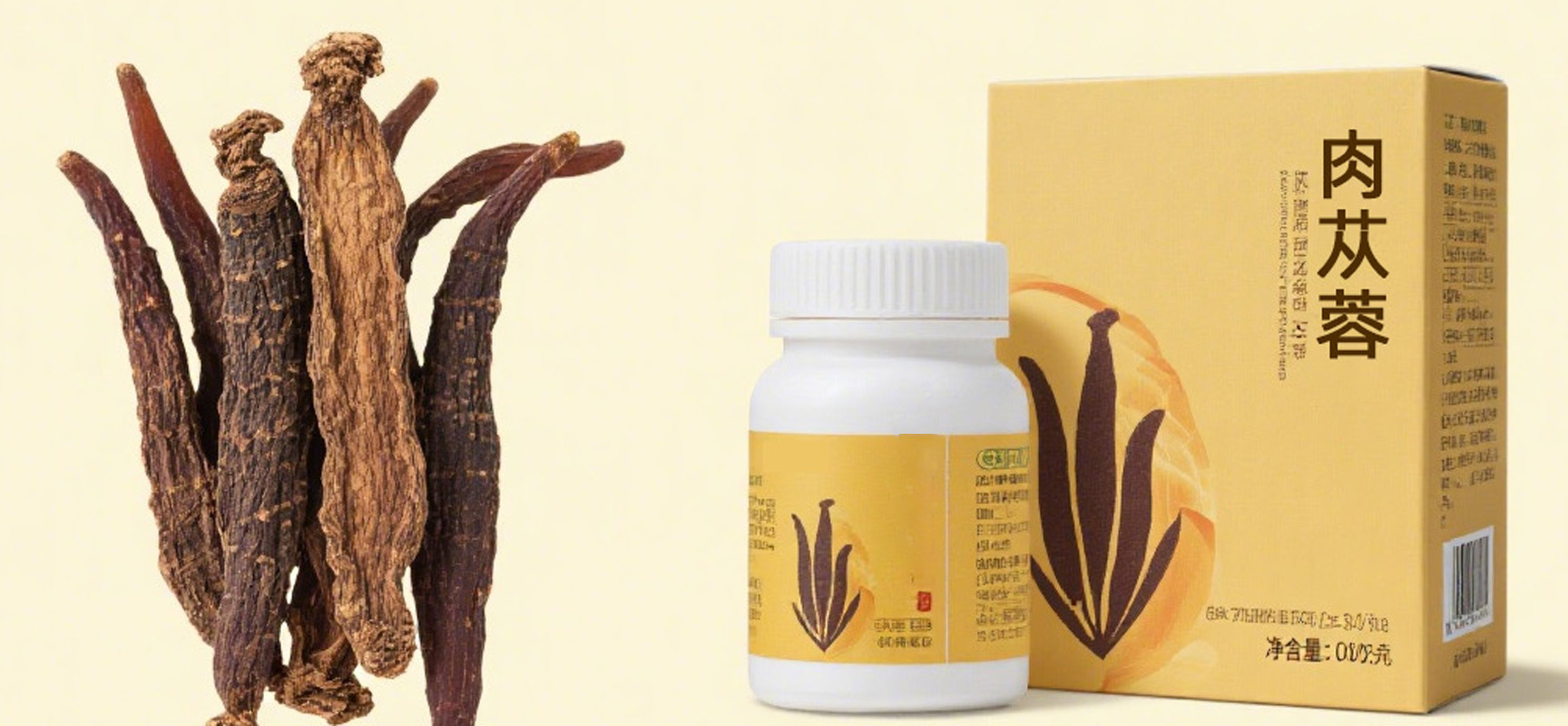肉蓯蓉提取物