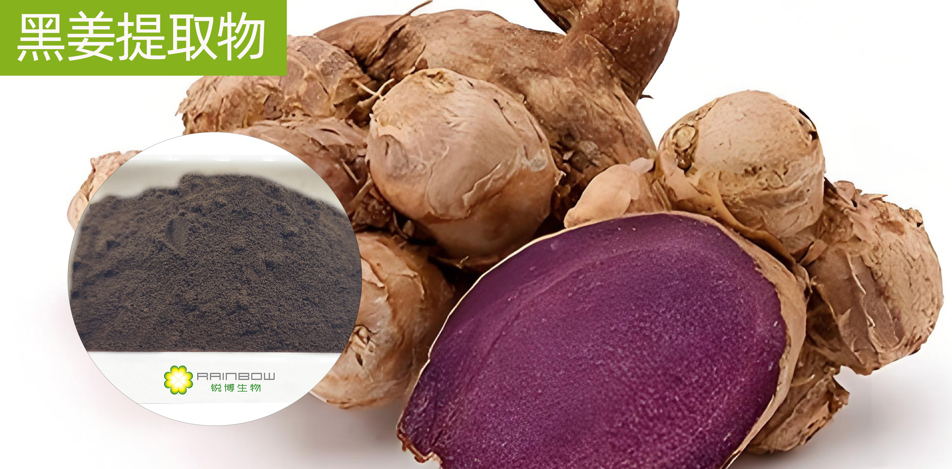 黑姜提取物